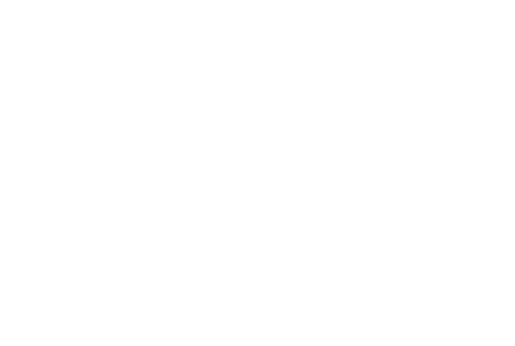 vicedrains.com